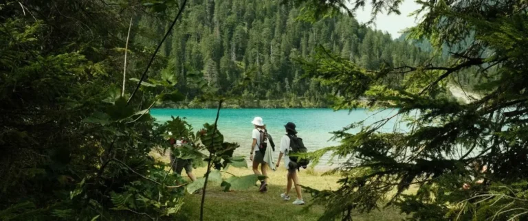 Best Ethical Travel Options: The 2026 Definitive Guide to Regenerative Travel