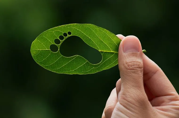 How to Manage Travel Carbon Footprint: The Definitive Editorial Guide