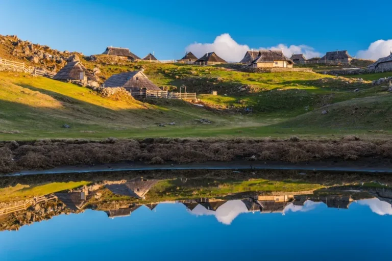 Top Sustainable Tour Plans: A Definitive Guide to Regenerative Travel